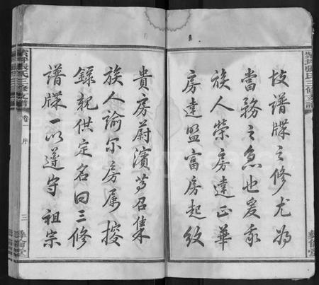 湖南张氏族谱-紫坪张氏三修支谱 [8卷].pdf电子版插图3