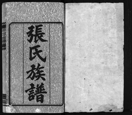 湖南张氏族谱-张氏三修族谱 [10卷].pdf电子版插图2