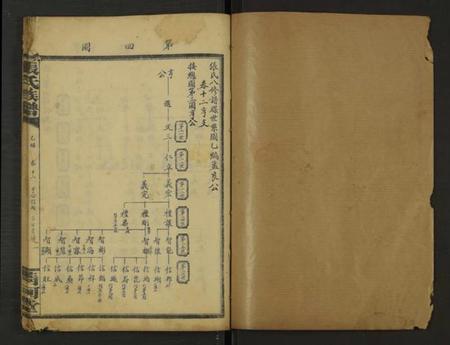湖南张氏族谱-张氏通谱 [121册含13卷及卷附卷尾, 世系谱甲乙编卷].pdf电子版插图1