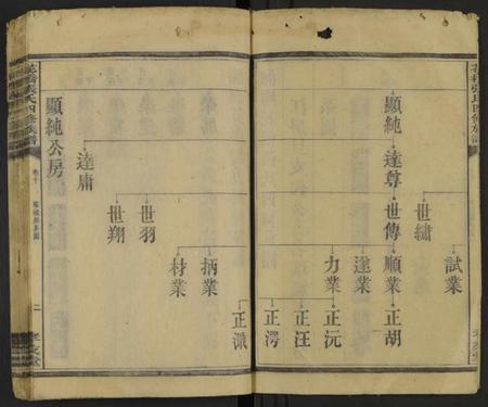 湖南张氏族谱-张氏族谱 [20卷].pdf电子版插图2