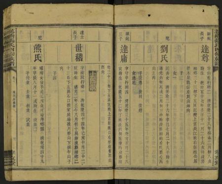 湖南张氏族谱-张氏族谱 [20卷].pdf电子版插图5