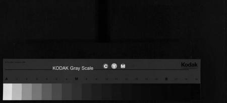 湖南张氏族谱-良源张氏支谱 [6卷,含首1卷].pdf电子版