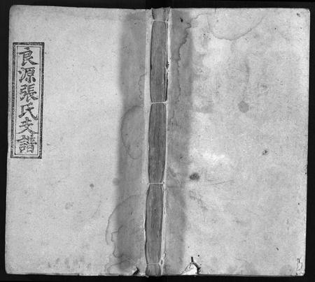 湖南张氏族谱-良源张氏支谱 [6卷,含首1卷].pdf电子版插图1