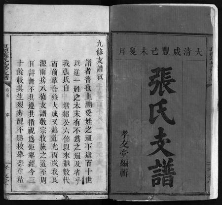 湖南张氏族谱-良源张氏支谱 [6卷,含首1卷].pdf电子版插图2