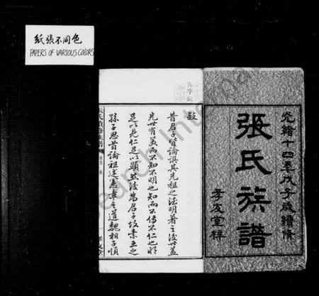 湖南张氏族谱-张氏族谱 [12卷, 首1卷].pdf电子版插图3