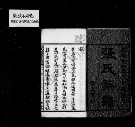 湖南张氏族谱-张氏族谱 [12卷, 首1卷].pdf电子版插图4