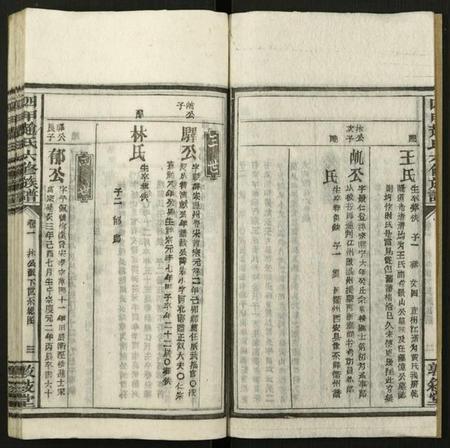 湖南赵氏族谱-四甲赵氏六修族谱 [59卷及卷首6卷].pdf电子版插图3