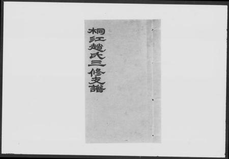 湖南赵氏族谱-桐江赵氏三修支谱 [21卷,首2卷].pdf电子版插图1