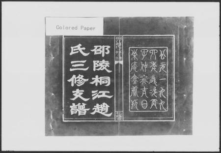 湖南赵氏族谱-桐江赵氏三修支谱 [21卷,首2卷].pdf电子版插图2