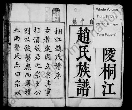 湖南赵氏族谱-桐江赵氏族谱 [12卷,首1卷].pdf电子版插图2