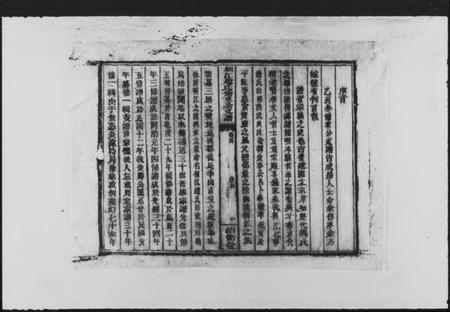 湖南赵氏族谱-桐江赵氏尔章公支谱 [4卷,首1卷].pdf电子版插图2