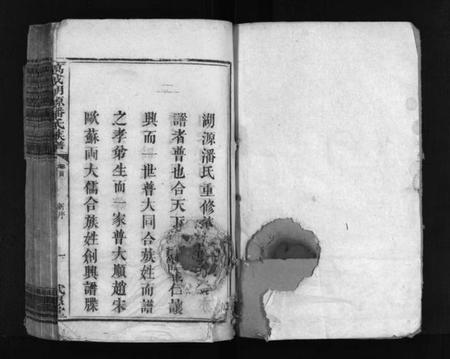 江西潘氏族谱-湖源武惠潘氏族谱 [10卷,首末各1卷].pdf电子版插图2