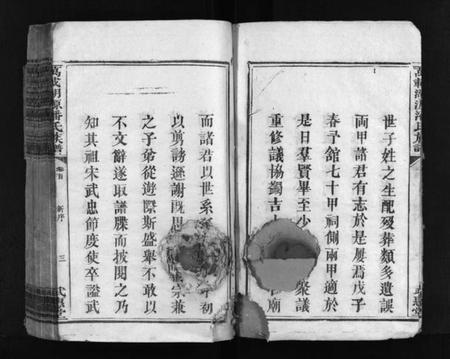 江西潘氏族谱-湖源武惠潘氏族谱 [10卷,首末各1卷].pdf电子版插图4