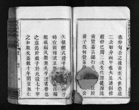 江西潘氏族谱-湖源武惠潘氏族谱 [10卷,首末各1卷].pdf电子版插图5