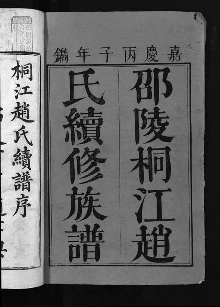 湖南赵氏族谱-桐江赵氏续修族谱 [15卷,首1卷].pdf电子版插图2