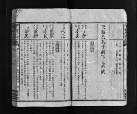 湖南赵氏族谱-湘上赵氏三修族谱 [残卷].pdf电子版插图5