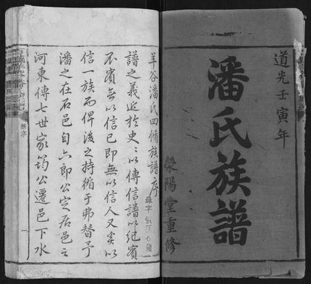 江西潘氏族谱-石城羊谷潘氏族谱[不分卷].pdf电子版插图1