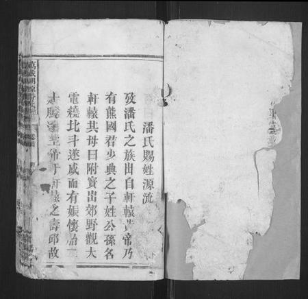 江西潘氏族谱-万载湖源潘氏族谱[3卷,首末各1卷].pdf电子版插图1