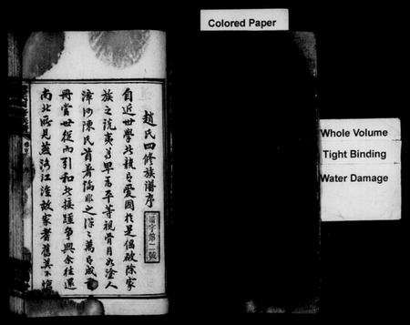 湖南赵氏族谱-赵氏四修族谱 [16卷,首2卷].pdf电子版插图3