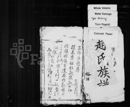 湖南赵氏族谱-赵氏族谱 [12卷].pdf电子版插图2