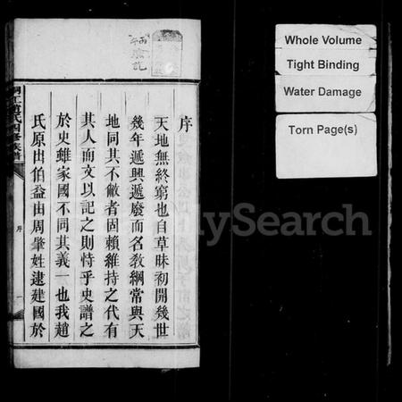 湖南赵氏族谱-邵陵桐江赵氏四修族谱 [21卷,及卷首].pdf电子版插图4