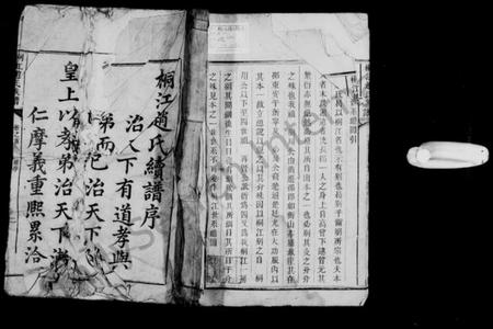 湖南赵氏族谱-邵陵桐江赵氏续修族谱 [15卷,首1卷].pdf电子版插图1