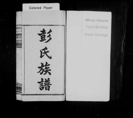 江西彭氏族谱-彭氏族谱 [12卷,首末各1卷].pdf电子版插图2