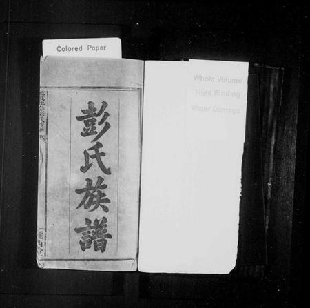 江西彭氏族谱-彭氏族谱 [9卷,首2卷,末1卷].pdf电子版插图2