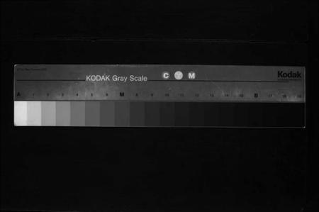 江西彭氏族谱-彭氏重修宗谱 [不分卷].pdf电子版