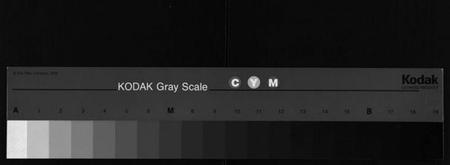 湖南锺氏族谱-锺氏五修族谱[13卷,首2卷].pdf电子版