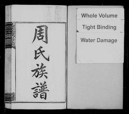 湖南周氏族谱-上湘马汑周氏五修族谱 [20卷].pdf电子版插图2