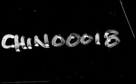 湖南周氏族谱-周氏族谱 [17卷,首1卷].pdf电子版插图4