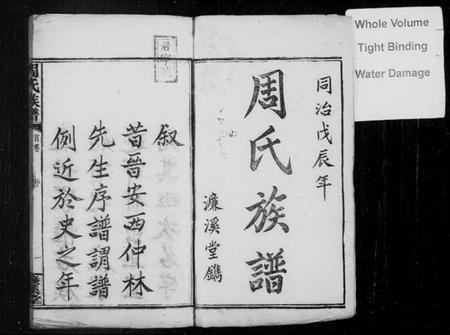 湖南周氏族谱-周氏族谱 [17卷,首末各1卷].pdf电子版插图2