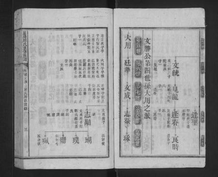 湖南周氏族谱-庐阳周氏重修族谱 [不分卷].pdf电子版插图3