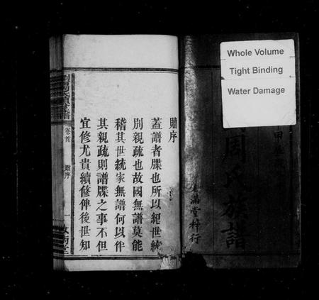 湖南周氏族谱-浏西周氏族谱 [6卷,首2卷].pdf电子版插图4