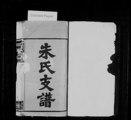 湖南朱氏族谱-中湘高司岭朱氏四修支谱 [8卷].pdf电子版插图2