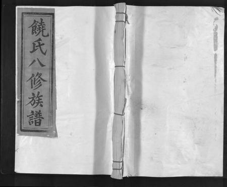 江西饶氏族谱-坳背源饶氏族谱[6卷].pdf电子版