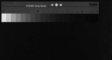 湖南朱氏族谱-朱氏四修族谱 [总卷数不详].pdf电子版