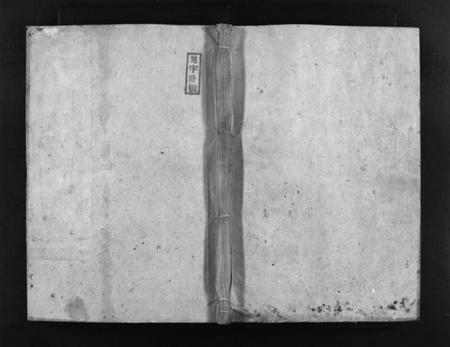 湖南朱氏族谱-汝城朱氏族谱 [不分卷].pdf电子版插图1