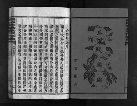 湖南朱氏族谱-汝城朱氏族谱 [不分卷].pdf电子版插图3