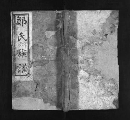 湖南邹氏族谱-墹山邹氏族谱 [5卷,首1卷].pdf电子版插图1