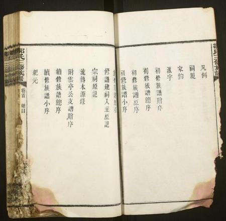 湖南邹氏族谱-蛟塘邹氏族谱[13卷,首末各1卷].pdf电子版插图2