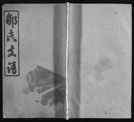 湖南邹氏族谱-邹氏支谱 [4卷].pdf电子版插图1