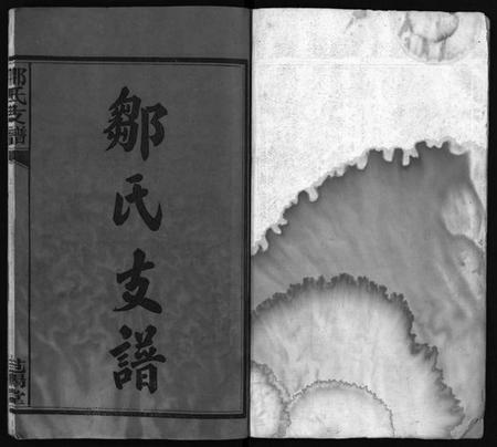 湖南邹氏族谱-邹氏支谱 [4卷].pdf电子版插图2