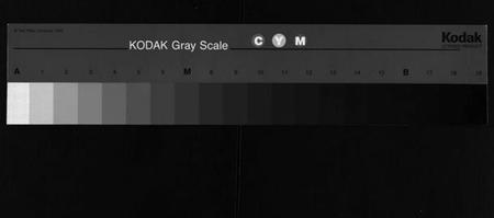 湖南邹氏族谱-邹氏族谱 [24卷,首2卷].pdf电子版