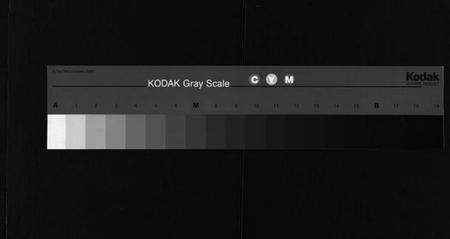 湖南邹氏族谱-邹氏族谱 [残卷].pdf电子版