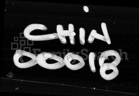 湖南邹氏族谱-邹氏旭户家谱 [9卷,首2卷].pdf电子版插图4