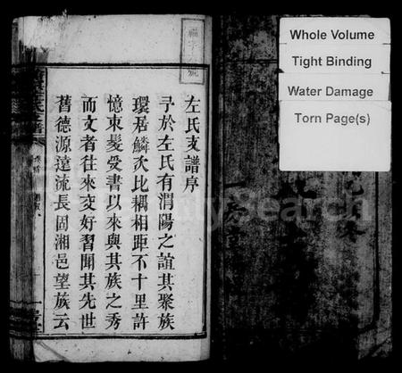 湖南左氏族谱-沧溟左氏支谱 [9卷,首1卷].pdf电子版插图2