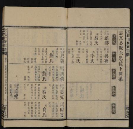 湖南左氏族谱-左氏十修族谱 [14卷,首3卷].pdf电子版插图5