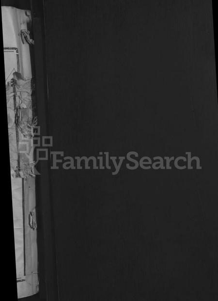 江西帅氏族谱-帅如逸公支谱 [不分卷].pdf电子版插图2